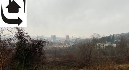 IMG_6297.jpeg IMG_6297.jpeg