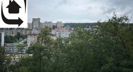 IMG_5703.jpeg IMG_5703.jpeg