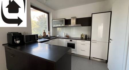 IMG_5492.jpeg IMG_5492.jpeg